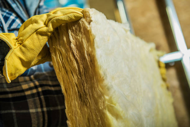 Best DIY Insulation Kits and Guidance in Madrid, IA